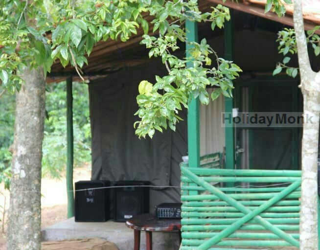 MandiManne_Rockside_cottage_view MandiManne_Rockside_cottage_view