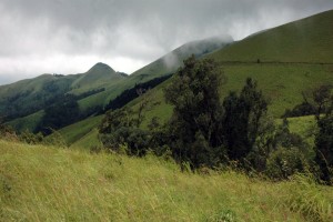 Kemmangundi