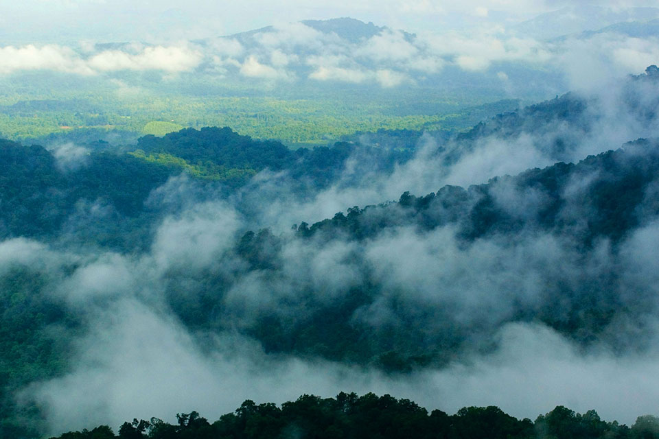 agumbe