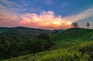 5 Weekend Getaways from Bangalore