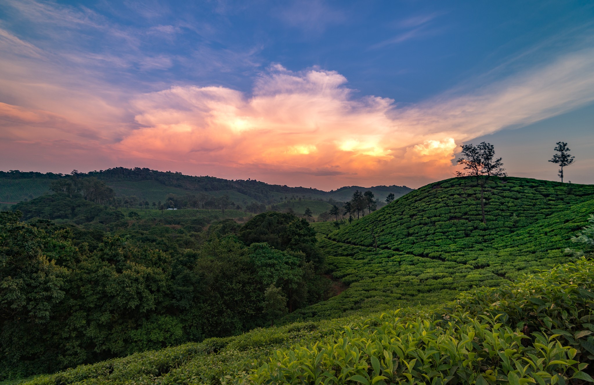 5 Weekend Getaways from Bangalore