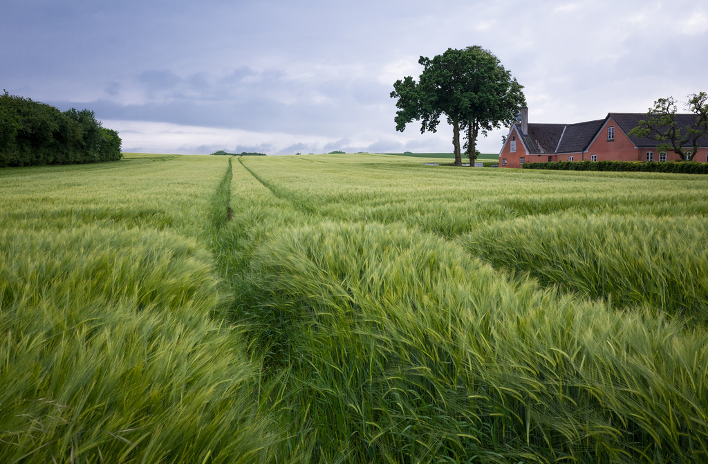 Tarup - Denmark