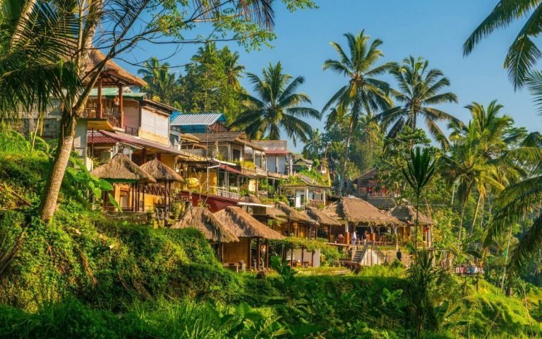 Bali Edge of the Rice Fields 768x480