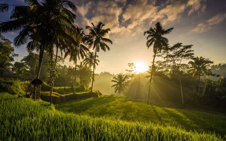 Bali Long Shadows at Sunrise 1 768x480