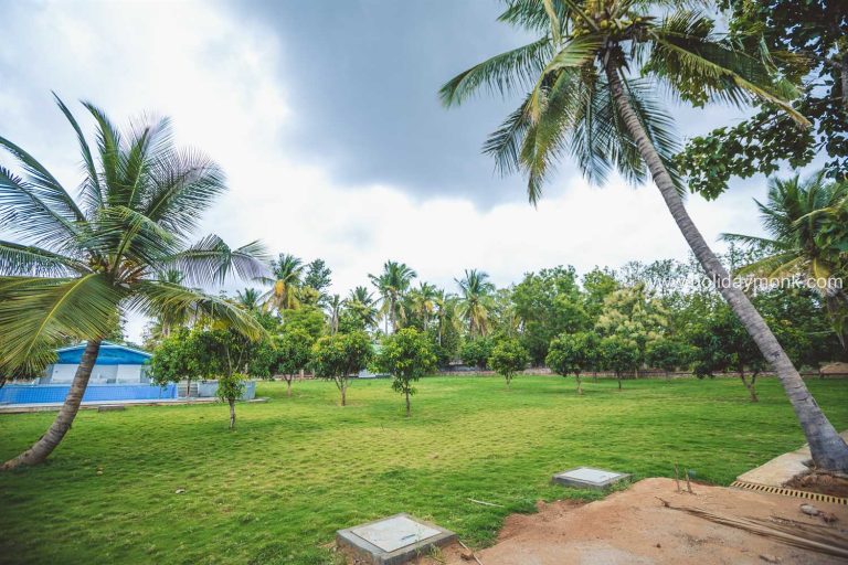 Thappalu Resort and Food Court 2 768x512