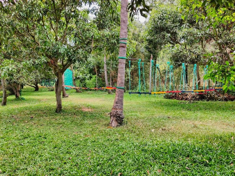 The Gari Resorts 13 768x576