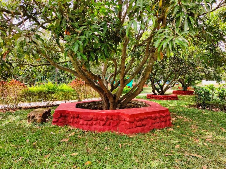 The Gari Resorts 17 768x576