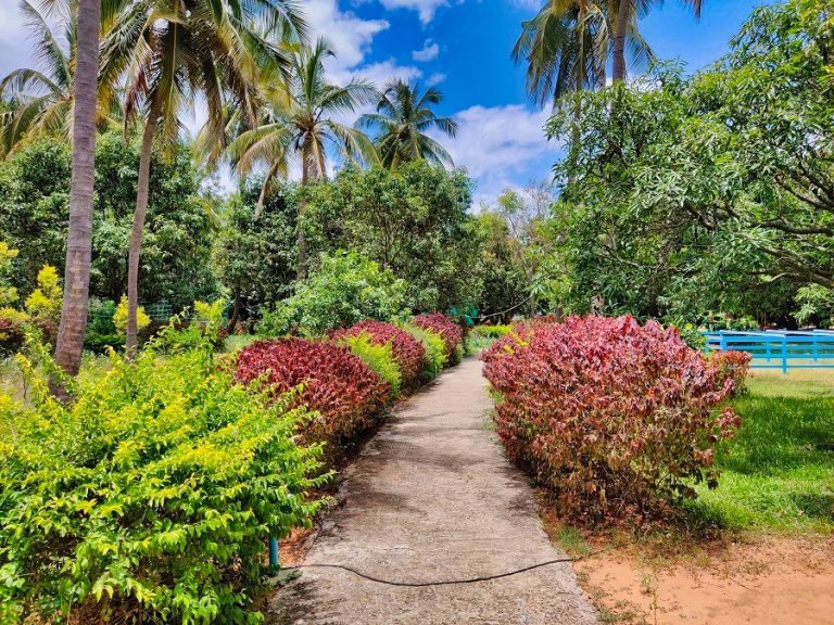 The Gari Resorts 18 768x576