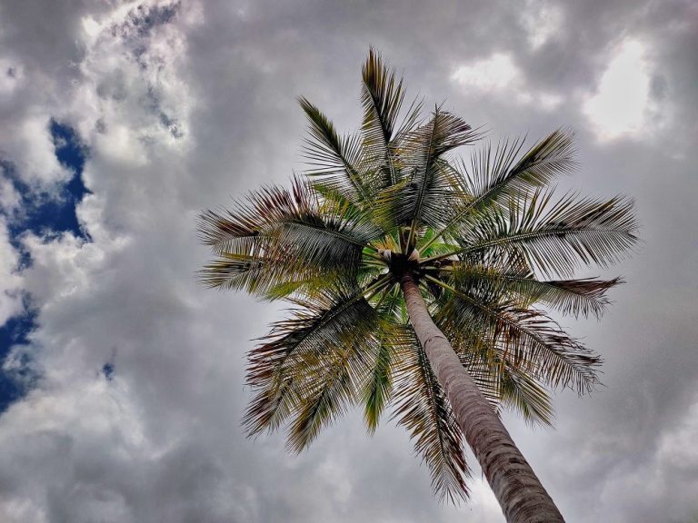 The Gari Resorts 19 768x576