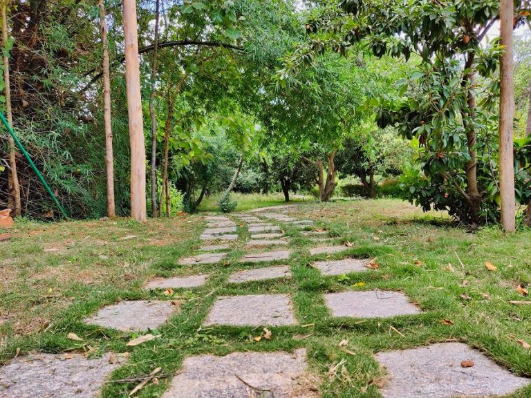 The Gari Resorts 24 768x576