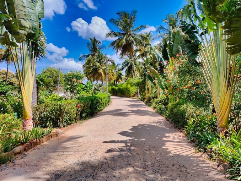 The Gari Resorts 27 768x576