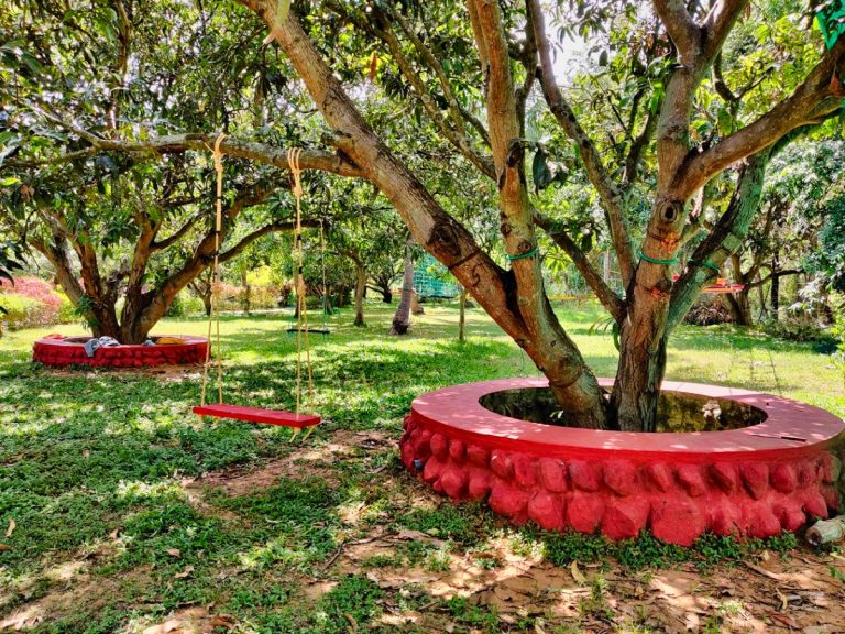 The Gari Resorts 28 768x576