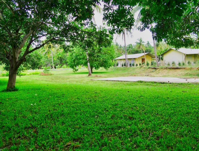 The Gari Resorts 5 768x581