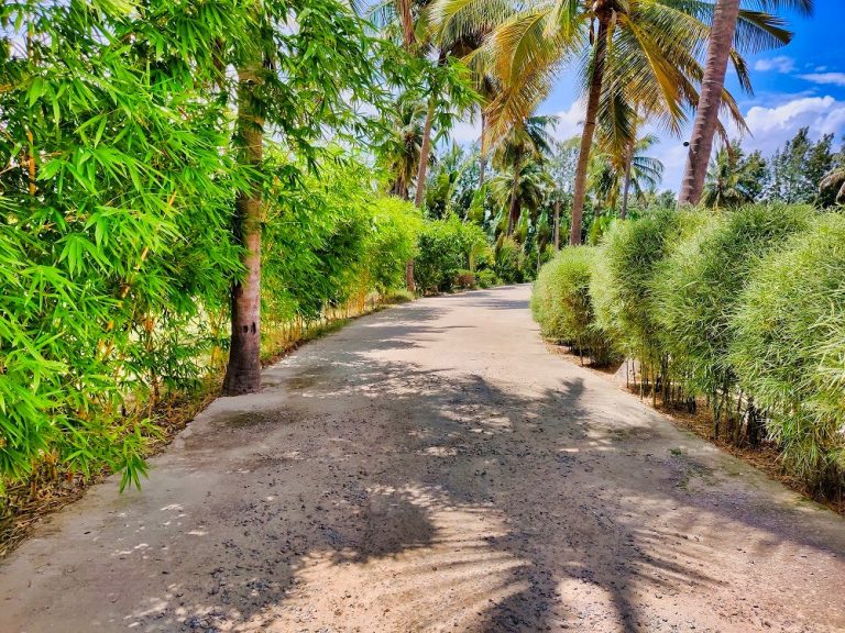The Gari Resorts 9 768x576
