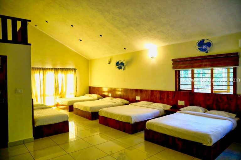 Tamohara Resort Sakleshpur 1 768x512