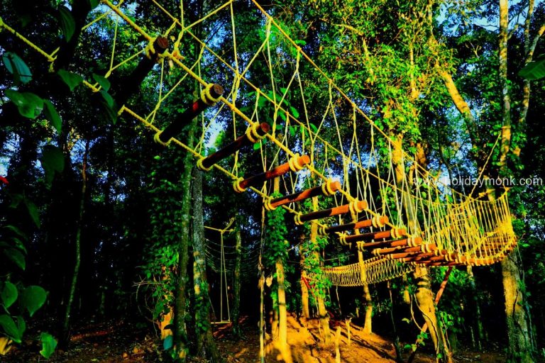 Tamohara Resort Sakleshpur 12 768x512