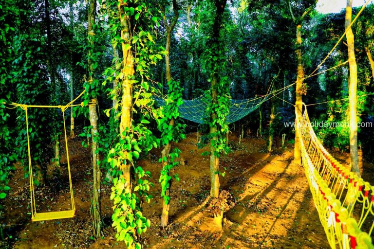 Tamohara Resort Sakleshpur 14 768x512