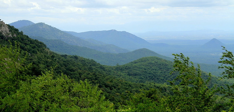 Biligiriranga Hills, Chamarajanagar