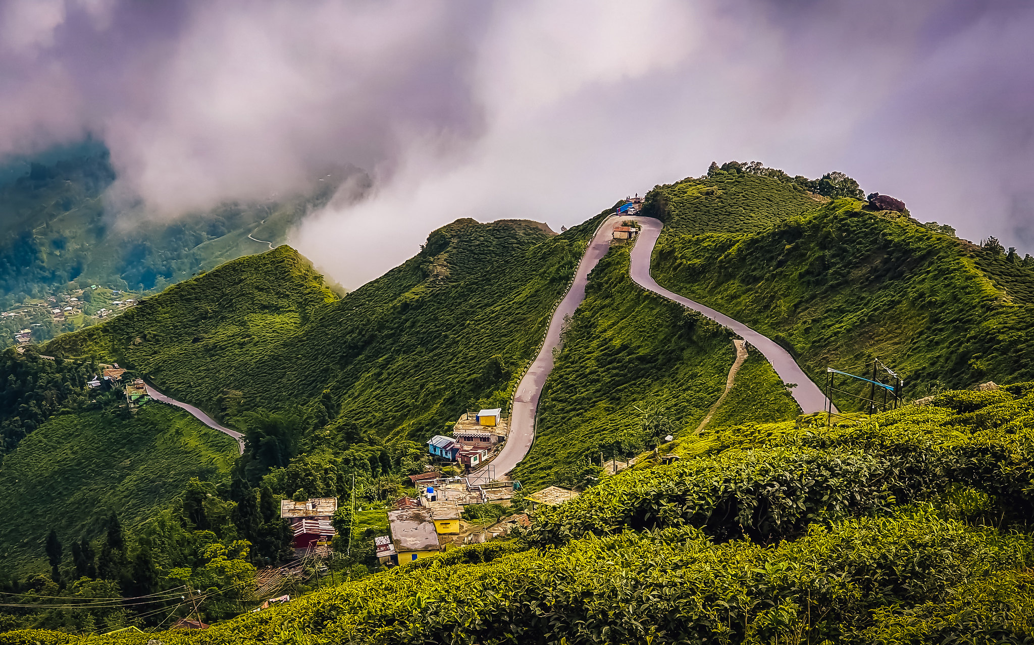 darjeeling tourism logo