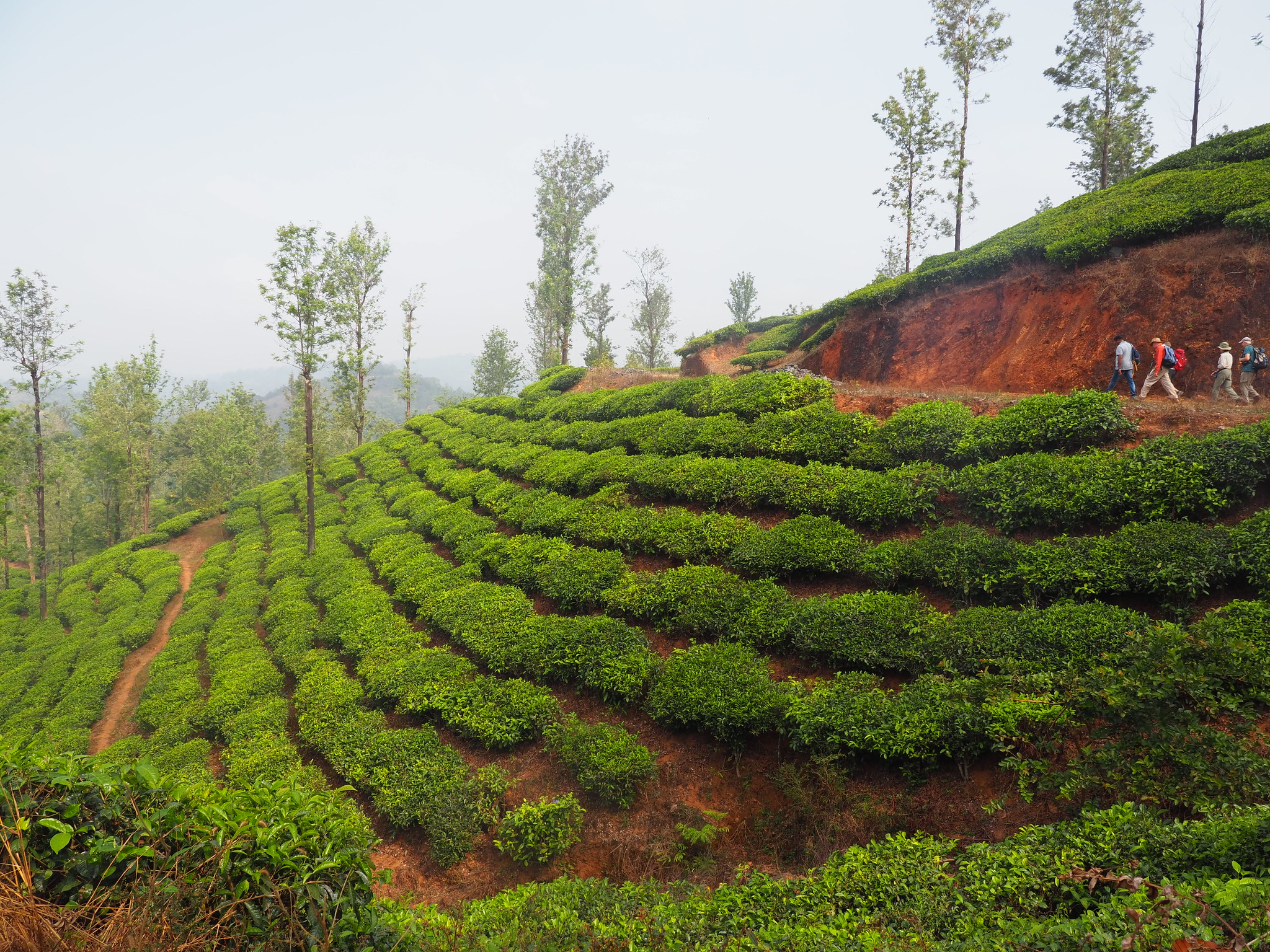 periya wayanad tourist places