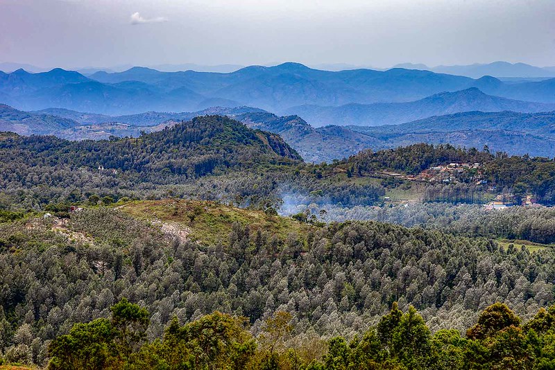 Yercaud Mountains, Tamil Nadu