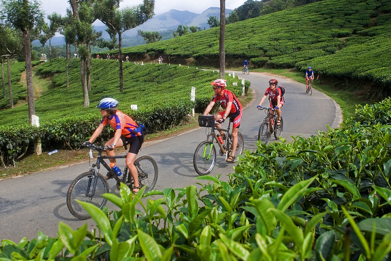 cycling in wayanad