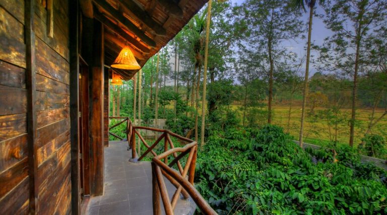 Paddington Resort And Spa Coorg 17 768x427