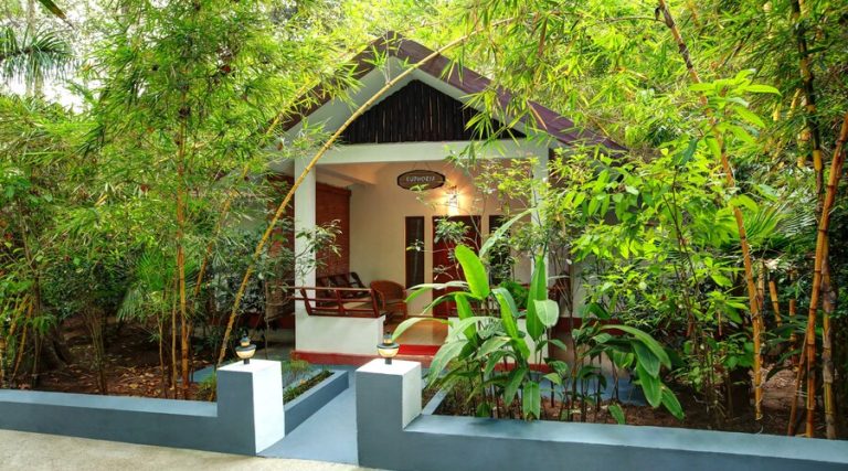 Paddington Resort And Spa Coorg 7 768x427