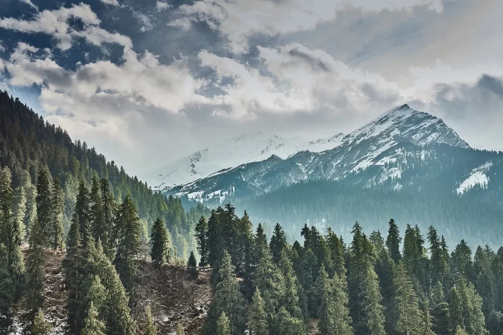 Shimla, Himachal Pradesh