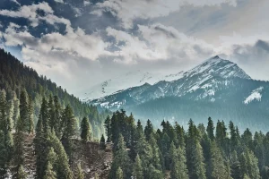 Shimla, Himachal Pradesh