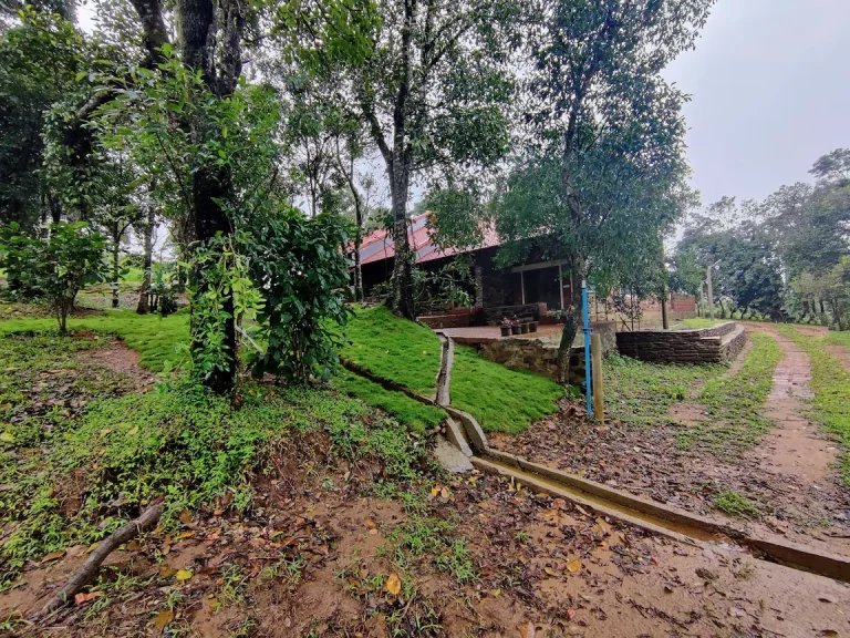 Gudlu Resort 16 768x576