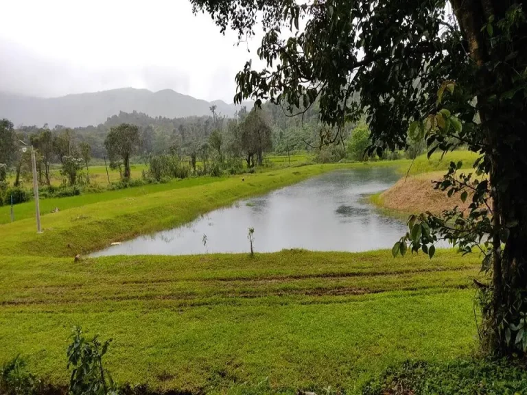 Gudlu Resort 4 768x576