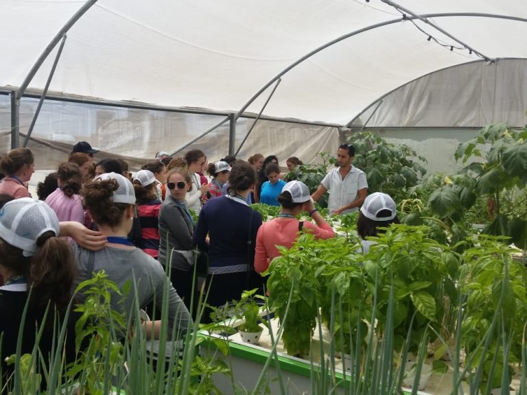 Agriculture tour to Isreal from India 768x576
