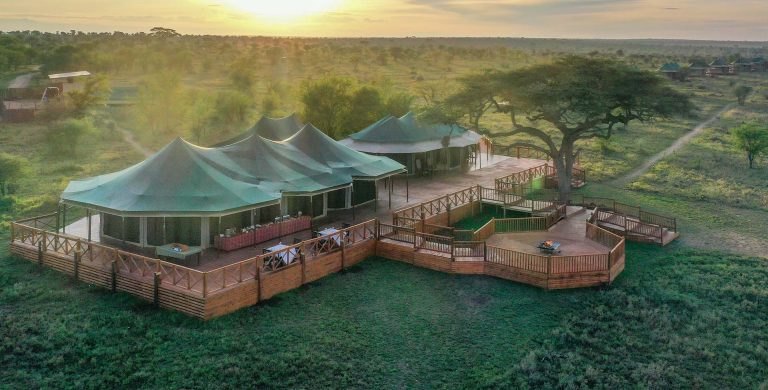 Acacia Seronera Luxury Camp Tanzania 768x390