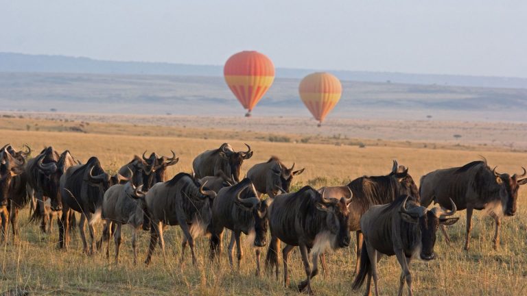 Serengeti National Park Tanzania 768x432