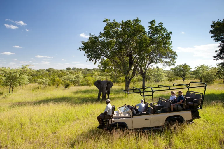 Kruger National Park South Africa Tour Packages 768x512