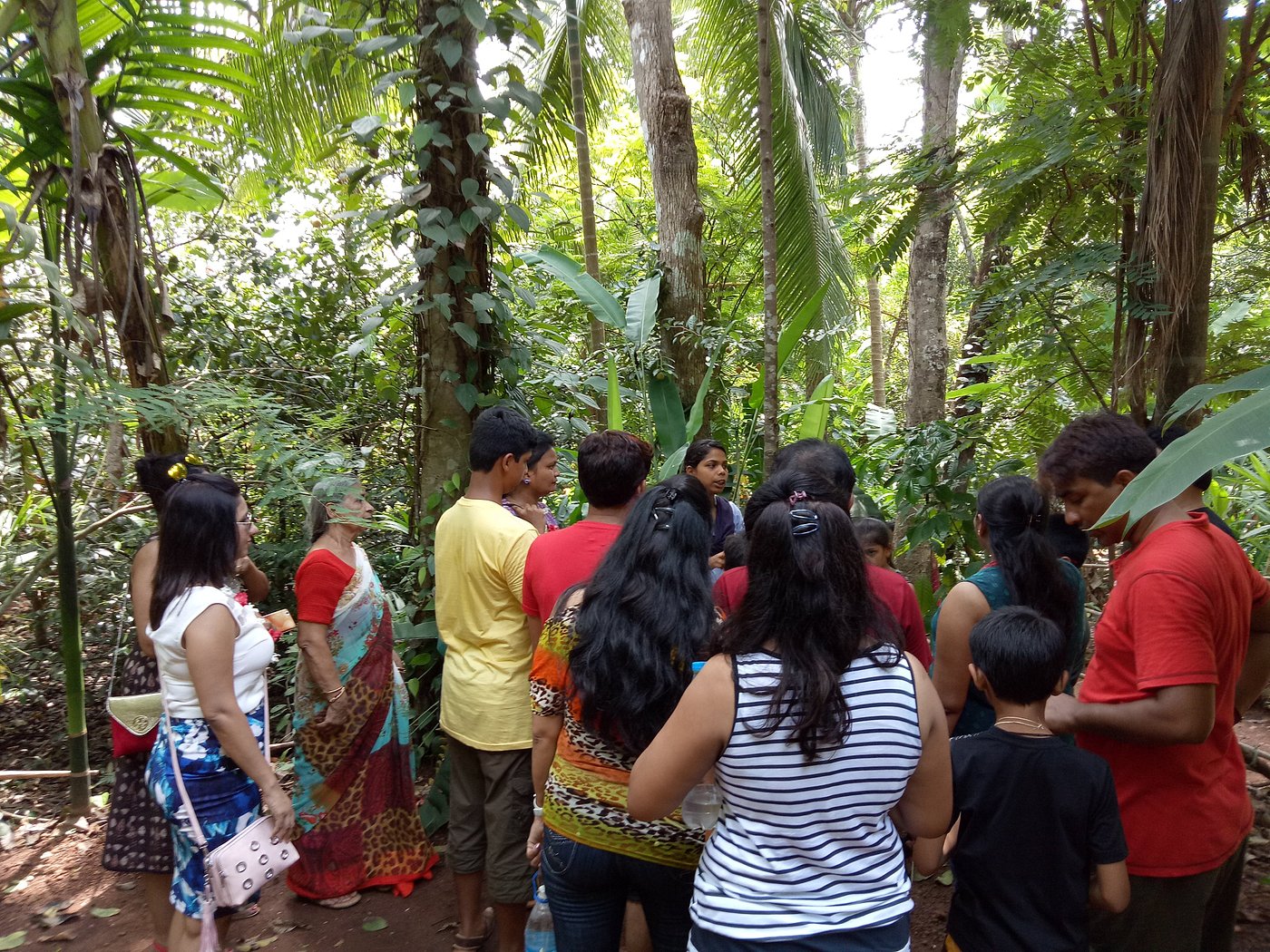 Spice Trail of Kerala
