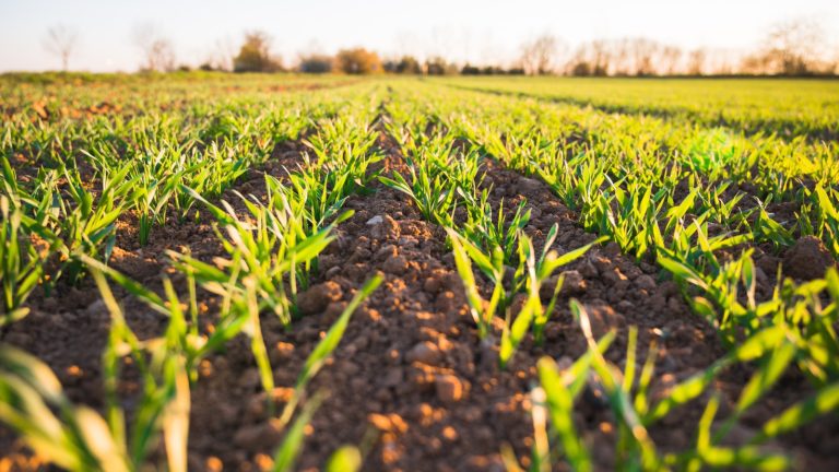 Educational Israel Agricultural Tour Package 3 768x432