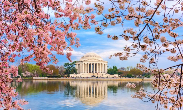 Washington DC 768x461