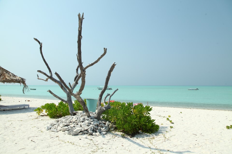 Bangaram Island Lakshadweep