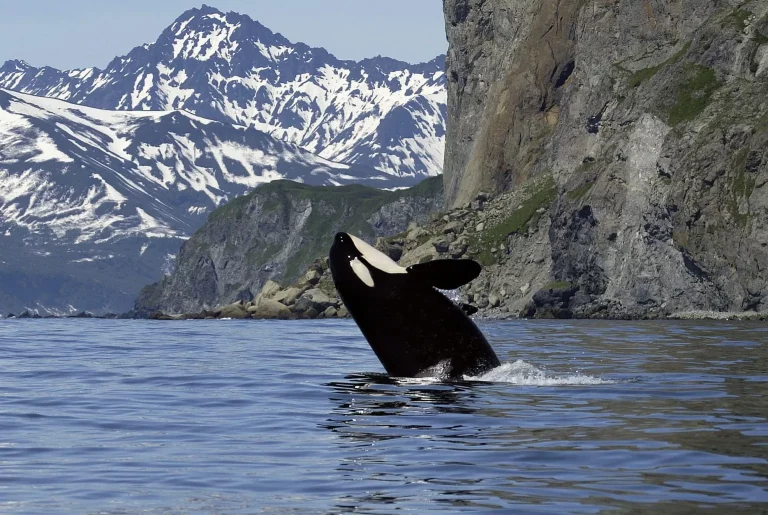 Best Of West Canada Tour Package 2 768x515