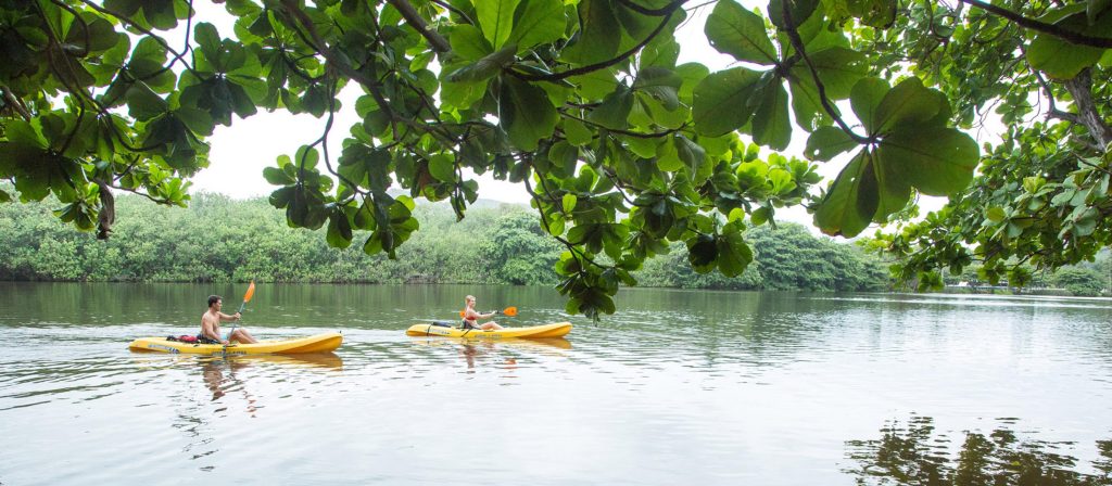 A backcountry kayaking tour on the island of Kauai