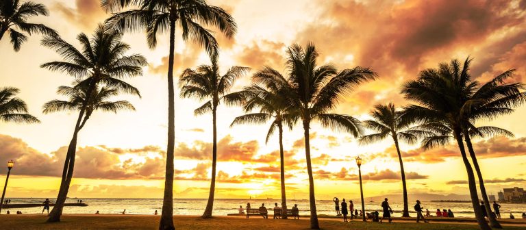 Honolulu Hawaii 1 1 768x336