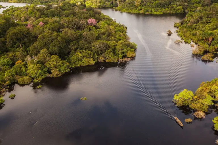 Manaus Brazil 768x512
