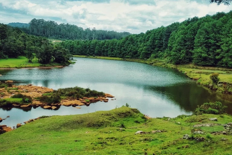 Kerala Tamilnadu South India Tour Package 3 768x512