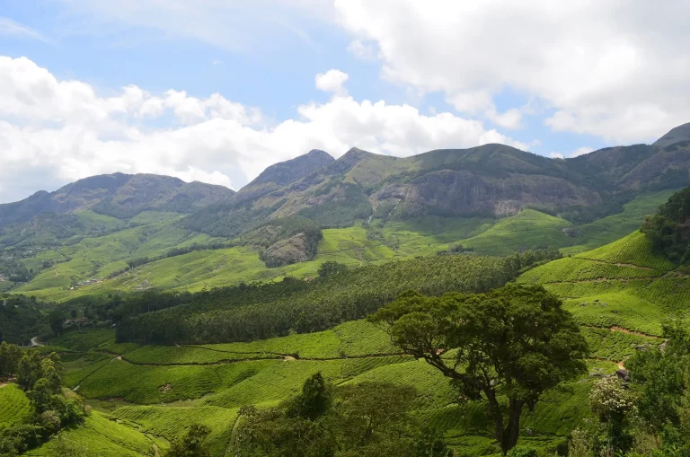 Kerala Tamilnadu South India Tour Package 5 768x509