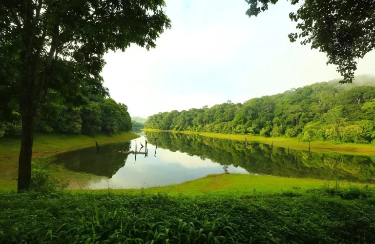 Kerala Tour Package 3 768x500