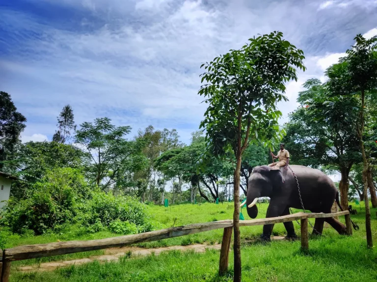 Luxury Coorg Chikmagalur Tour Package 2 1 768x576