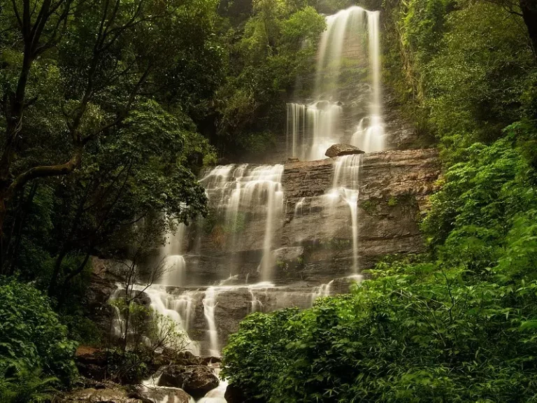 Luxury Coorg Chikmagalur Tour Package 2 768x576