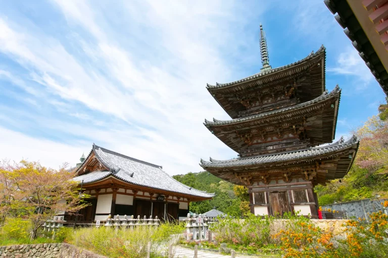 Nara Japan Tour Package 768x512